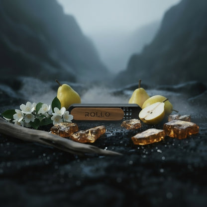 ROLLO metalinis laikiklis su magnetu - Alien