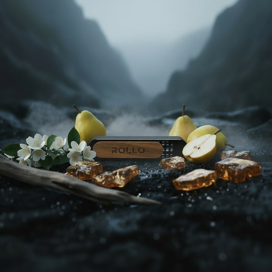 ROLLO metalinis laikiklis su magnetu - Alien